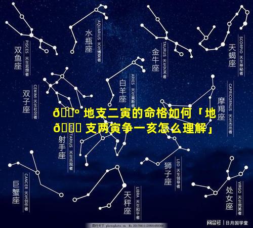 🐺 地支二寅的命格如何「地 💐 支两寅争一亥怎么理解」